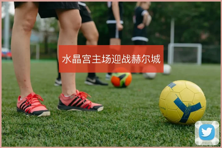 水晶宫主场迎战赫尔城